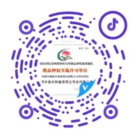 阿里巴巴